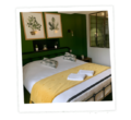 Chambre Gîte à Sancerre dans les tonalités de vert et jaune
