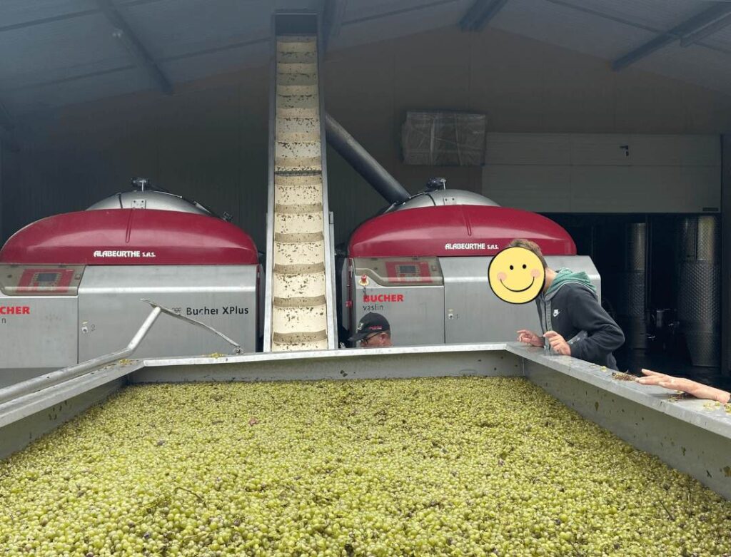 Harvest